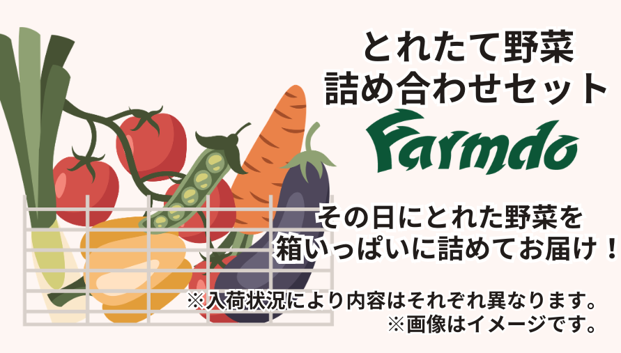 プレゼント名
